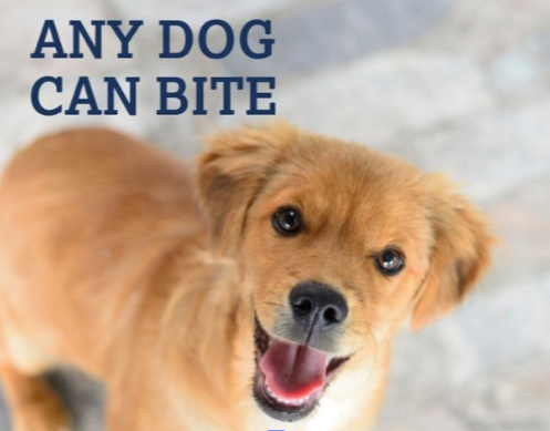 Dangerous Dogs in Missouri: How Dogs Are Declared Dangerous in St. Charles and Beyond